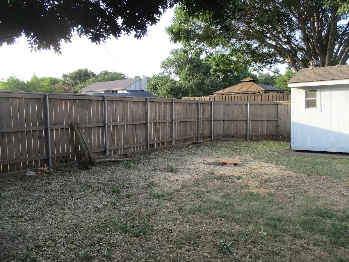 Cleared yard after professional tree removal in North Chatham