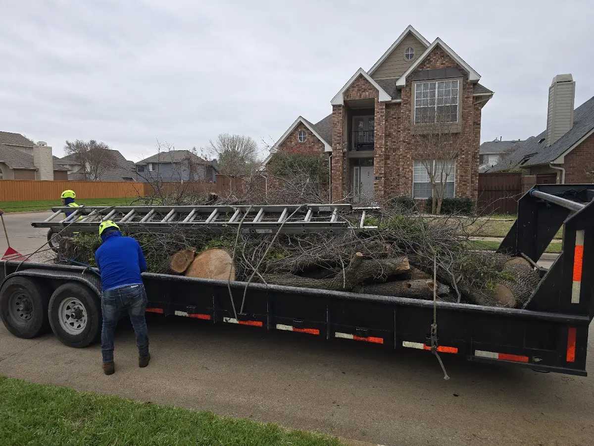 Expert Tree Fertilization with proper safety equipment in North Chatham
